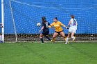 WSoccer vs Brandeis  Wheaton College Women's Soccer vs Brandeis College. - Photo By: KEITH NORDSTROM : Wheaton, women's soccer